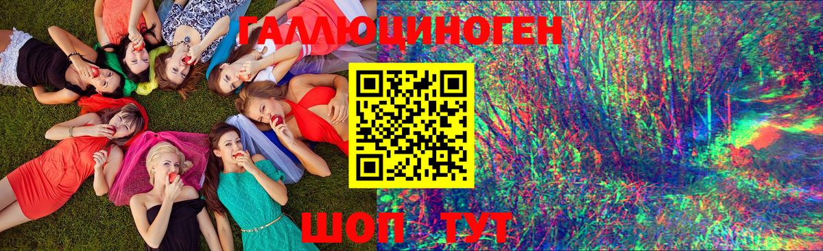 Псилоцибиновые грибы прущие грибы Дубна