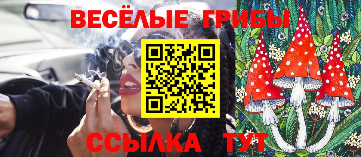 Псилоцибиновые грибы Psilocybine cubensis  Вход с VPN  Дубна  Галлюциногенные грибы Magic Shrooms 